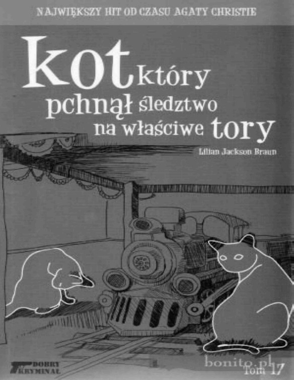 Kot, który pchnął śledztwo na właściwe tory