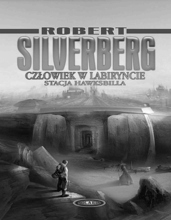 Czlowiek w labiryncie
